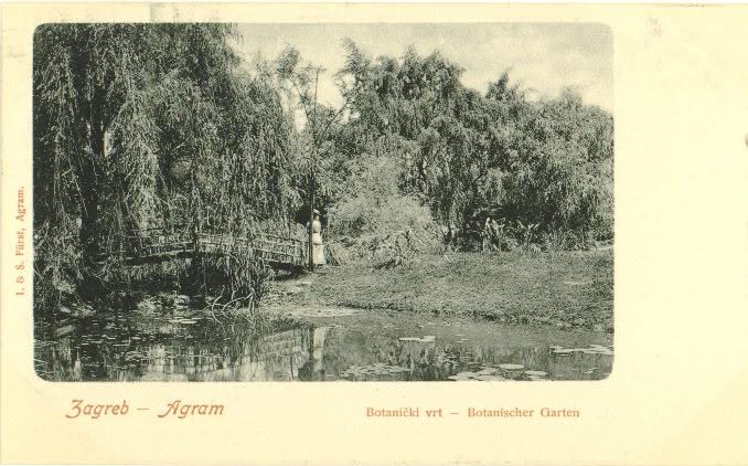Botanički vrt. Mihanovićeva ulica, 1900. godine